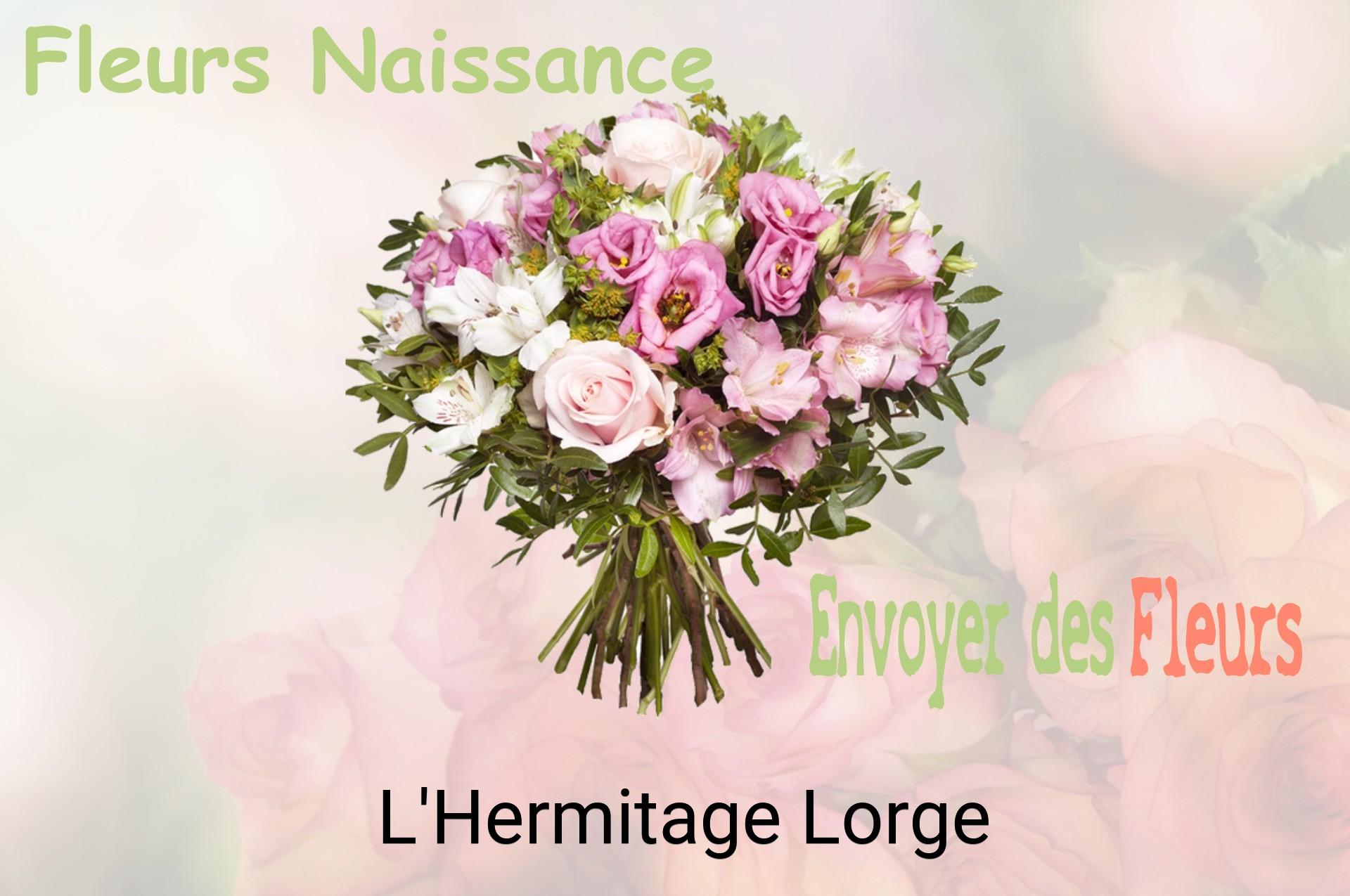 Bouquet de fleurs de naissance livré à L'Hermitage-Lorge